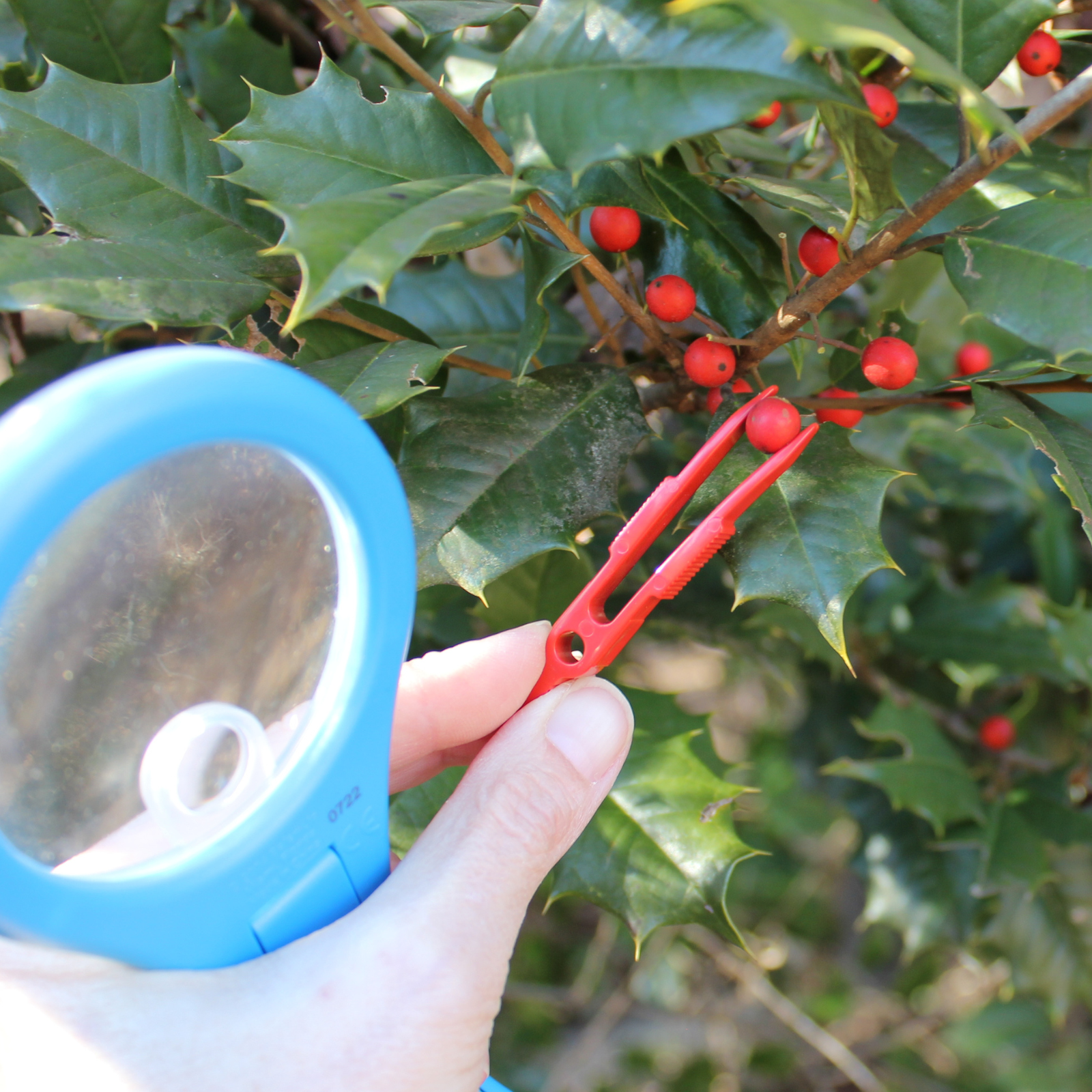 Mega-10 Magnifying Glass